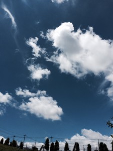 テニスコートの夏空2