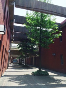 東京経営短期大学
